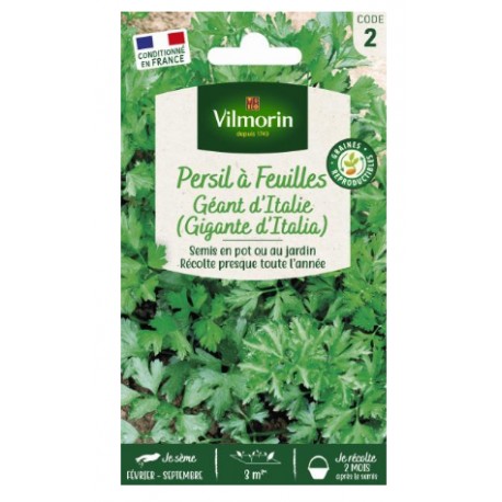 PERSIL GEANT ITALIE GONDIAN
