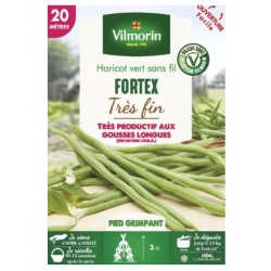 HARICOT GRIMPANT VERT FORTEX VILMORIN