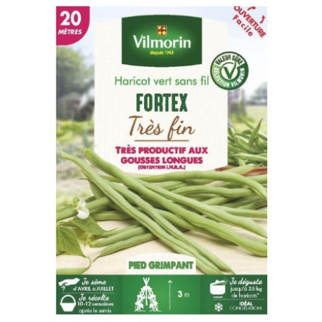 HARICOT GRIMPANT VERT FORTEX VILMORIN